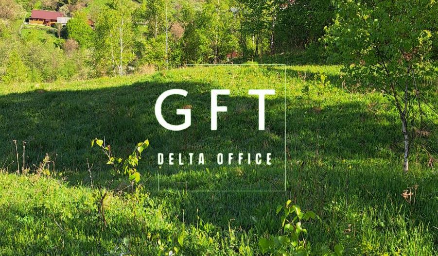 Teren extravilan de vanzare, Bistrita Bargaului- 10 minute de Colibita - Poză 5