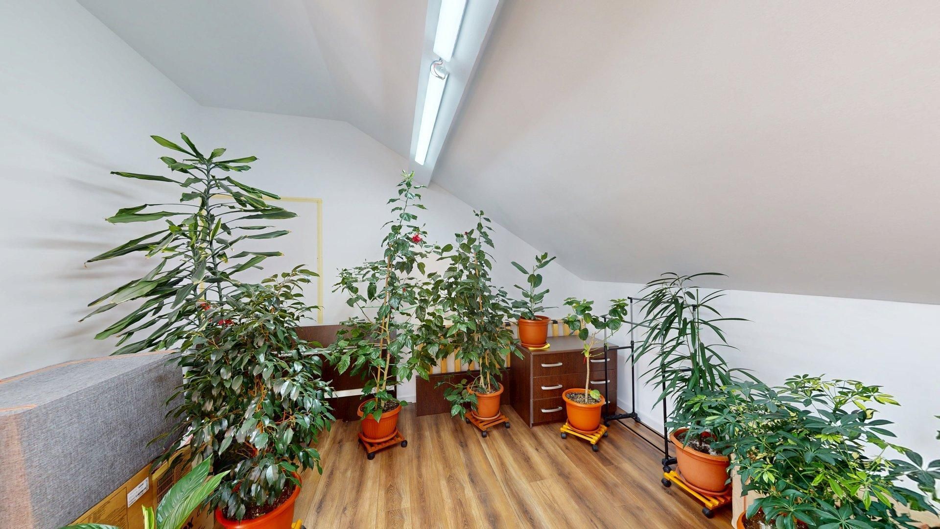 Casa Individuala Voluntari - P+M - Gradina superba - Oferta PROMO - Poză 21