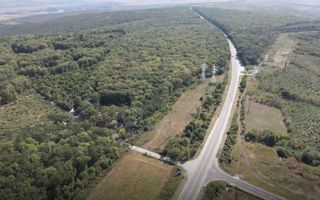 Vânzare, teren pentru construcție, 9.21 ha, Micăuți, Sireț - Poză 3