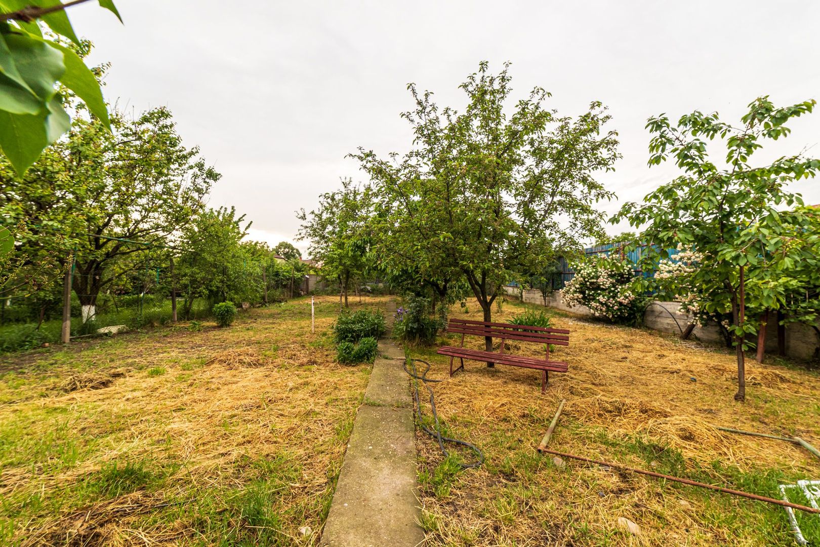 Casa de vis pentru seniori-Pârneava Arad - Poză 13