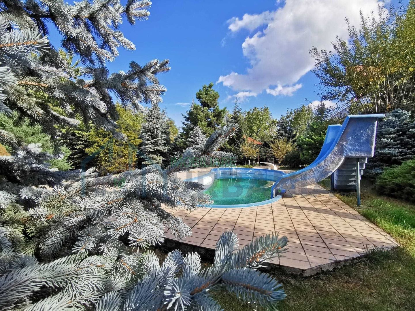 Casă în Bucium, Iași – închiriere – 4 camere, 650 mp construiți, curte 2600 mp - Poză 8