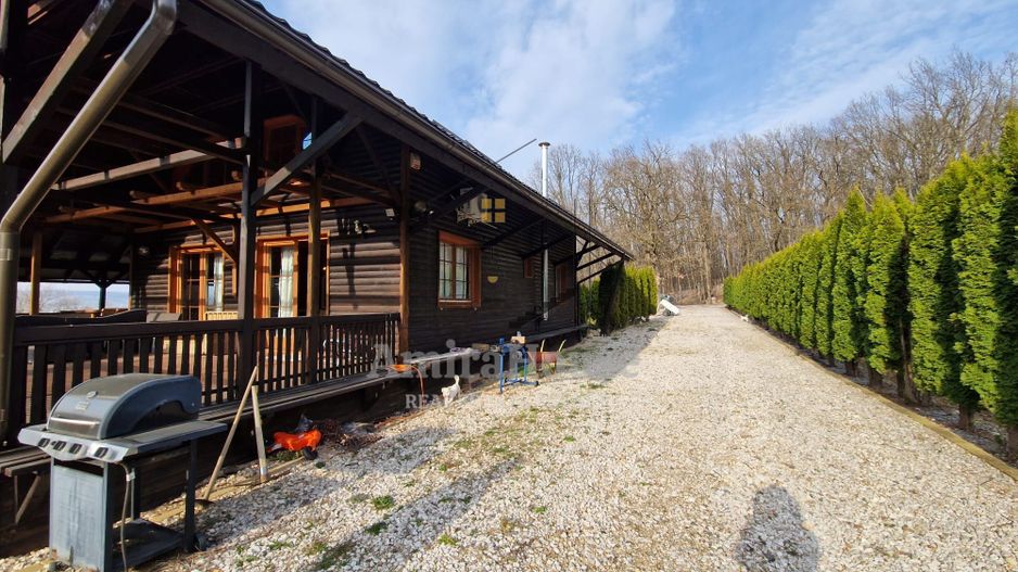 Casa din lemn D+P+M de 400 mp utili si teren 3.000 mp zona Faget - Poză 16