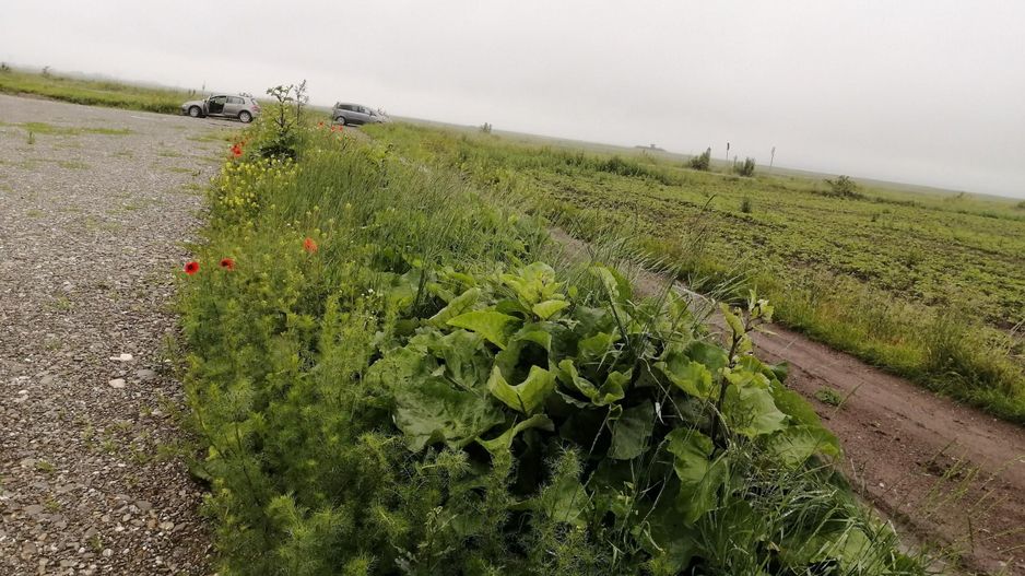 Teren la DN Brașov-Tărlungeni - Poză 6