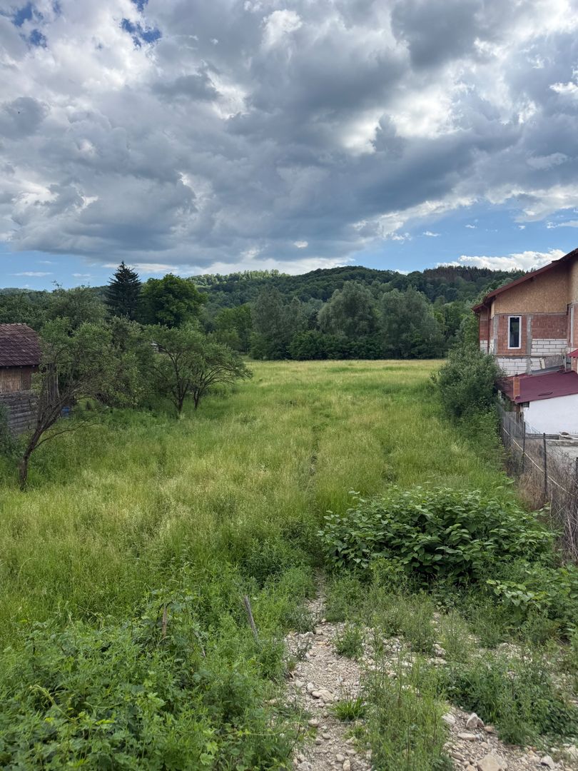 Teren plat-intravilan -3800 mp, cu pădurice și ieșire la râu! - Poză 27