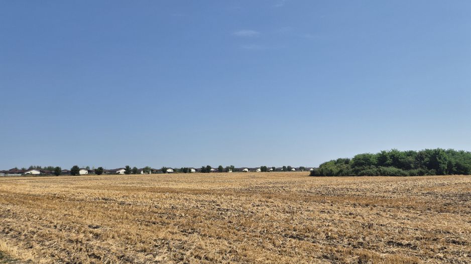 Teren intravilan 4428 mp - Balotesti - Poză 5