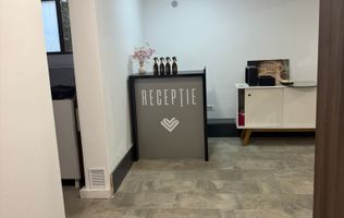 Oportunitate investiție – Spațiu comercial 110 mp, Take Ionescu