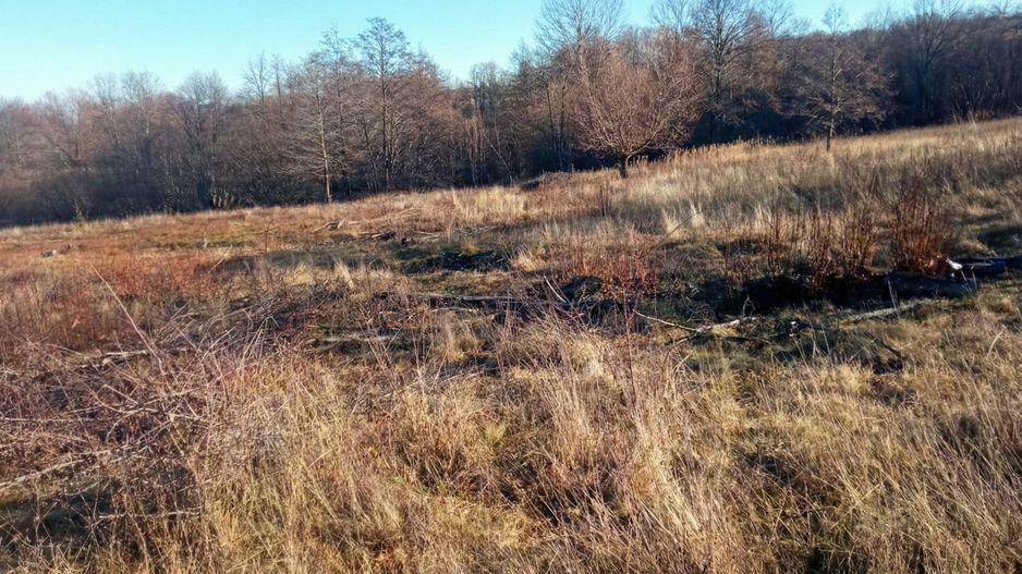 Teren extravilan | Vicovu de Jos | Preț 27.000 | Negociabil - Poză 5