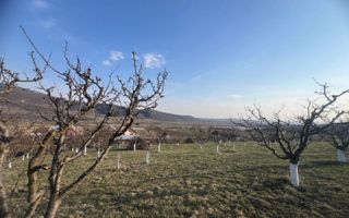 Teren 3100 mp-livada-ideal casa-Mititei - Poză 2