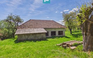 Proprietate rară cu 24.270 mp, în Măgulicea, Arad! - Poză 34