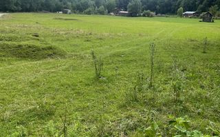 Teren pentru investiție turistică în Dâmbovicioara – Baranga | 4.500 mp | Front ~102 ml - Poză 7