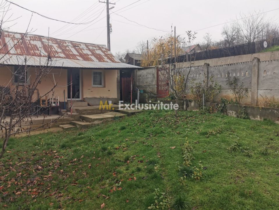 De vanzare casa in Argetoaia cu teren 7.000 mp - Poză 1