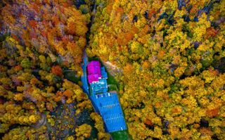 Pensiune Baia Mare - Poză 12