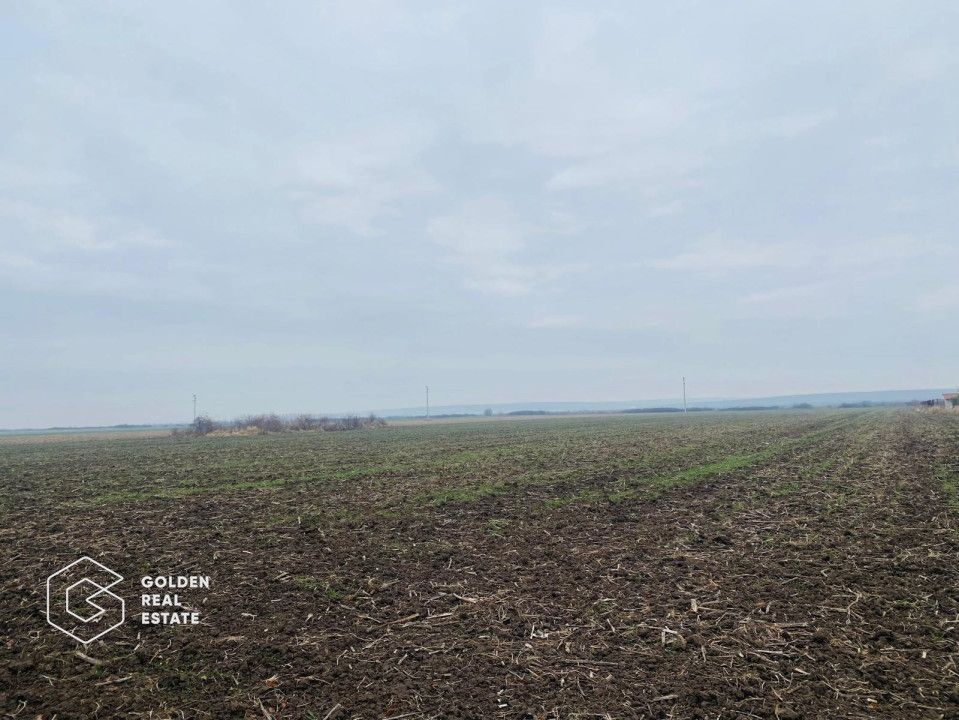 Teren, Intrare Recas, Drumul E70 - Poză 2