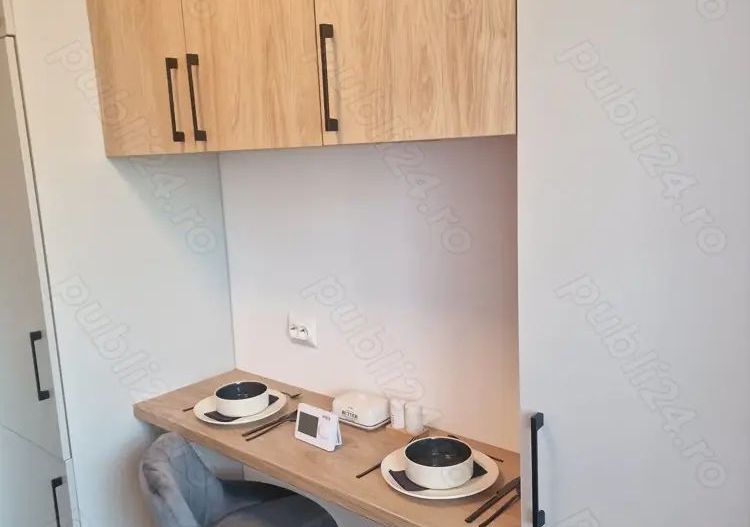 Inchiriere apartament 2 camere in HIls Brauner Pallady - Poză 6