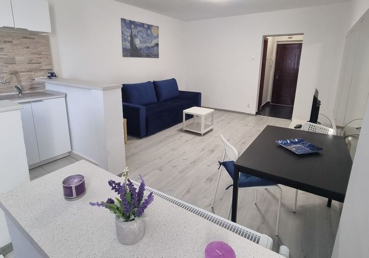 Garsoniera de inchiriat - Gara de Nord / Victoriei - Poză 1