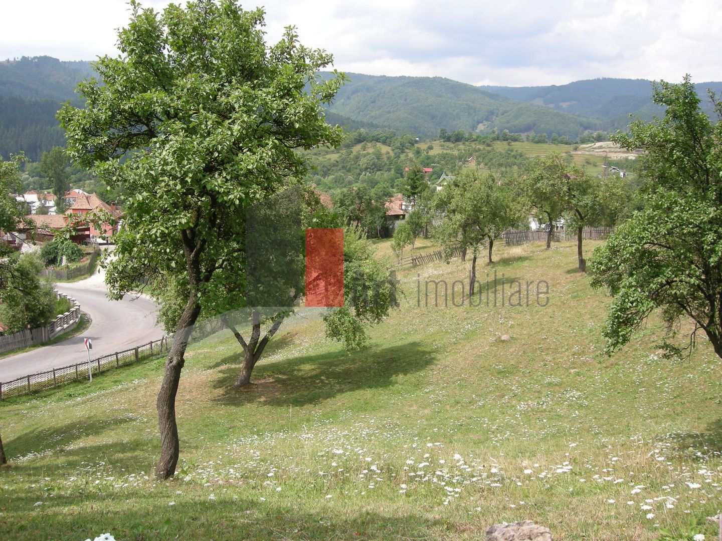 Teren intravilan 3214 mp  în Rucăr cu deschidere 56 m în DN73 - Poză 1