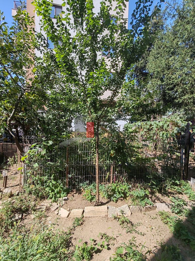 Bucurestii Noi - Parc Bazilescu - Comision 0 - Poză 14