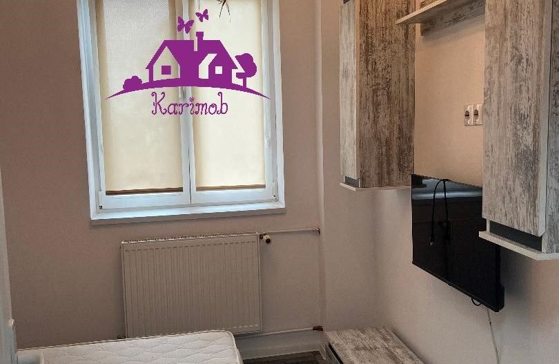 Apartament de inchiriat pe b-dul Dacia - Poză 11