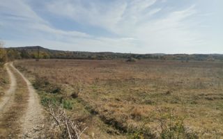 Vanzare teren arabil 22 Ha, plan, Arges, Moraresti - Poză 6