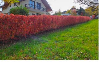 APARTAMENT 3 CAMERE CAMPULUNG, ETAJ 4, GRUI - Poză 21