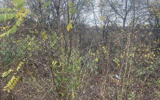 Teren in suprafata de 2165 mp cu front de 30 ml - Poză 2