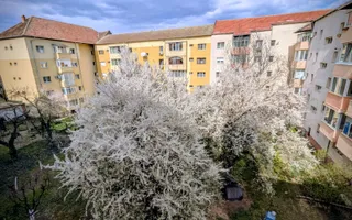Aparament 2 camere, etaj 3/5, Zona Girocului - Poză 16