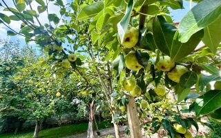 Vânzare, casă, 3 nivele, 6 camere, str. Durlești, Buiucani - Poză 8