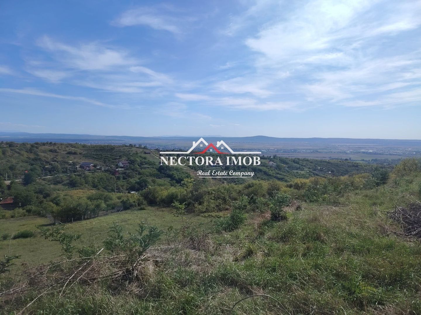 NECTORA IMOB-Teren Saldabagiu de Munte, 2350 mp, 21 ml front stradal - Poză 3