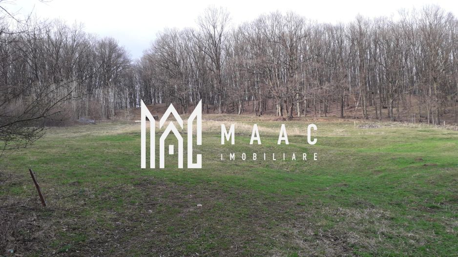 Teren Extravilan 4.572mp | Zonă liniștită | Sadu - Poză 4