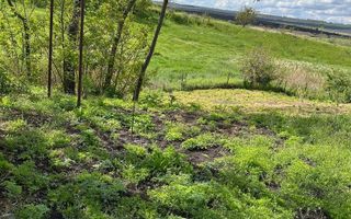 Vânzare, сasă, strada Calea Moșilor, s. Pelinia, or. Drochia - Poză 18