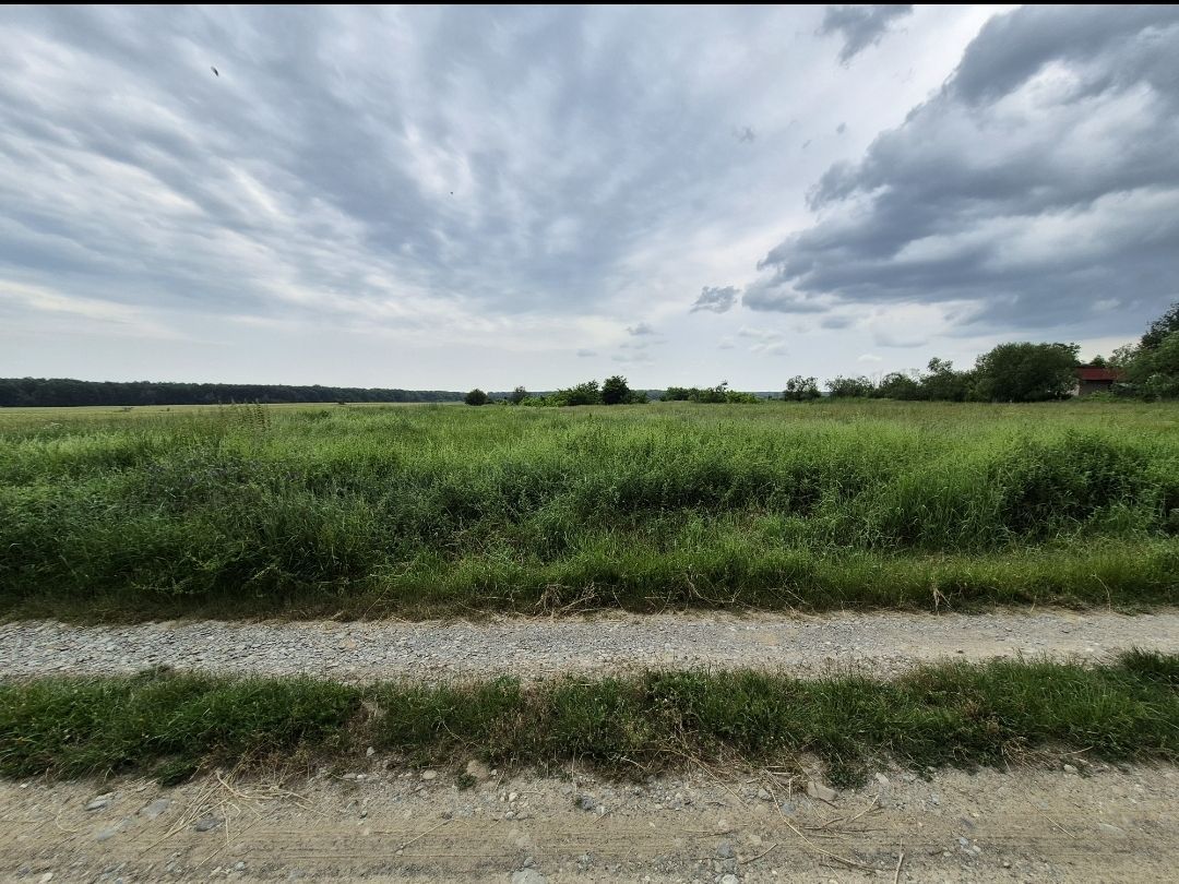 Teren intravilan langa pădure 1260 mp , deschidere 20 ml Prahova -Misl - Poză 10