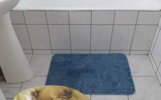 Apartament 2 camere Drumul Taberei metrou Favorit - Poză 5
