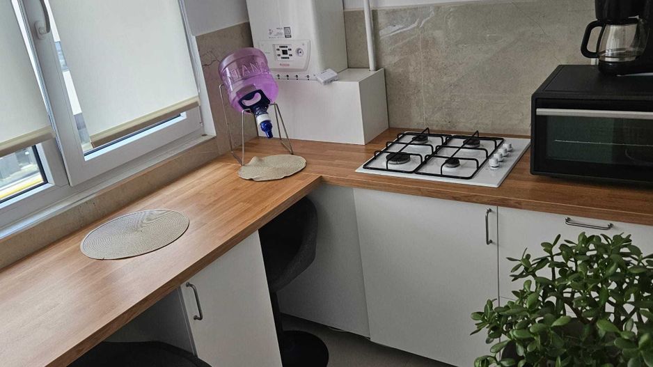 Studio dublu de inchiriat Central Address, Sector 5 - Poză 4