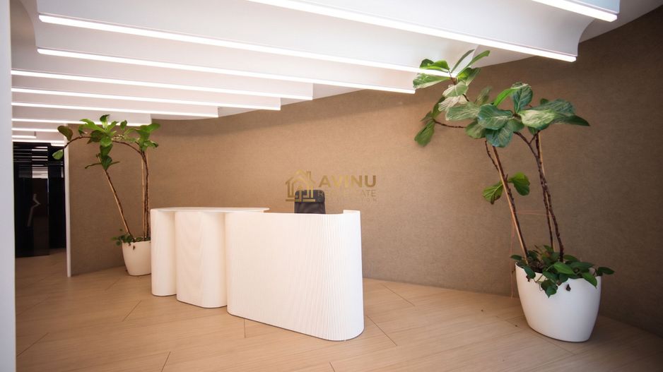 Spațiu Comercial Versatil 356mp în Cortina North | 0% Comision - Poză 13