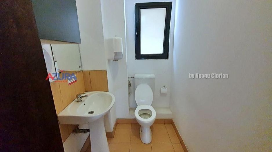 Inchiriere spatiu birouri Exercitiu-Teilor Pitesti - Poză 8
