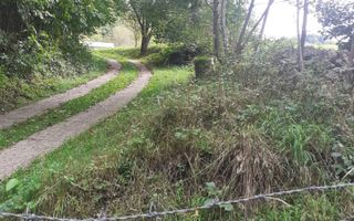 TEREN INTRAVILAN 3698 MP, CAMPULUNG, ARGES - Poză 2