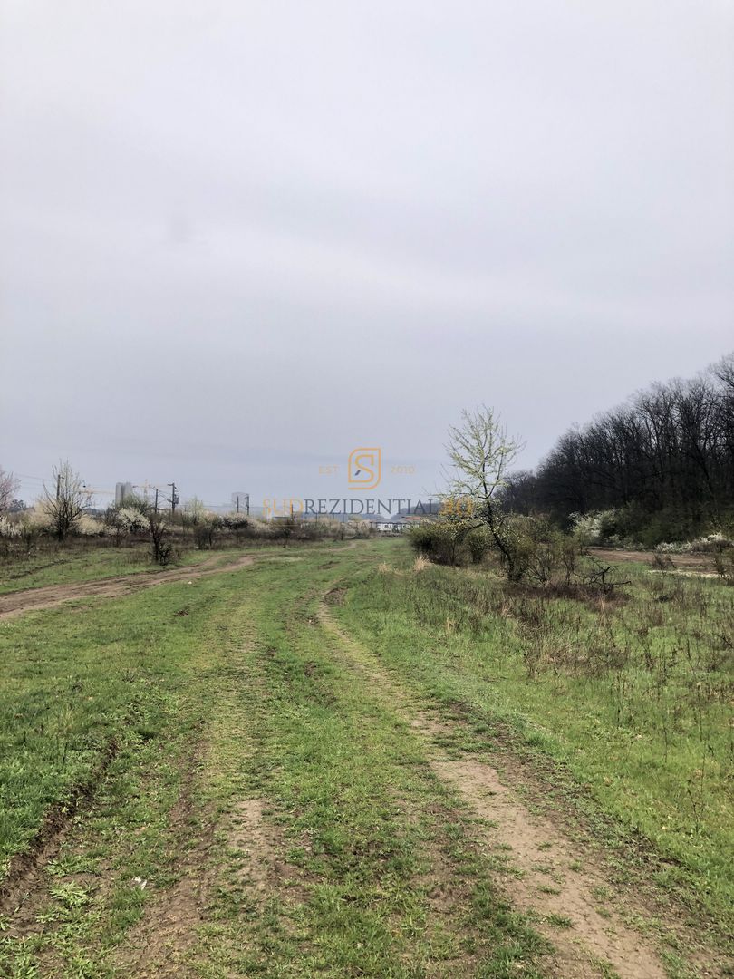 Teren de vânzare 10.028 mp – Mogoșoaia, lângă Pădurea Motoc - Poză 5