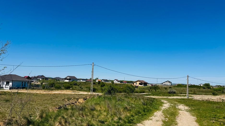 Teren intravilan 3800 mp Alparea lângă pădure - Poză 3