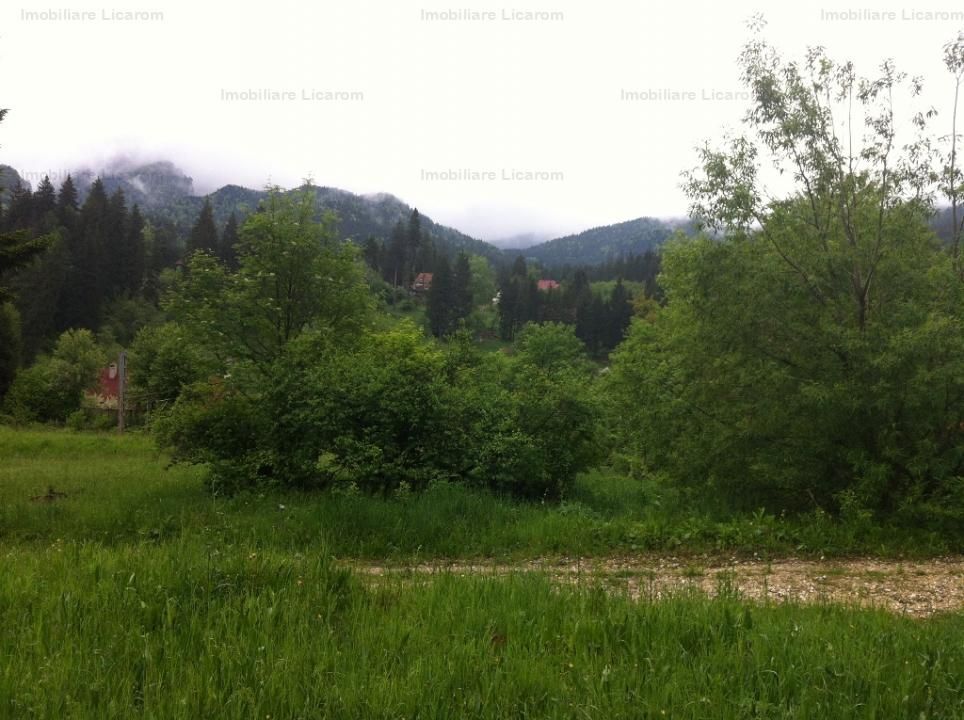 Teren intravilan Cotul Donului,pretabil Hotel/pensiune. - Poză 3