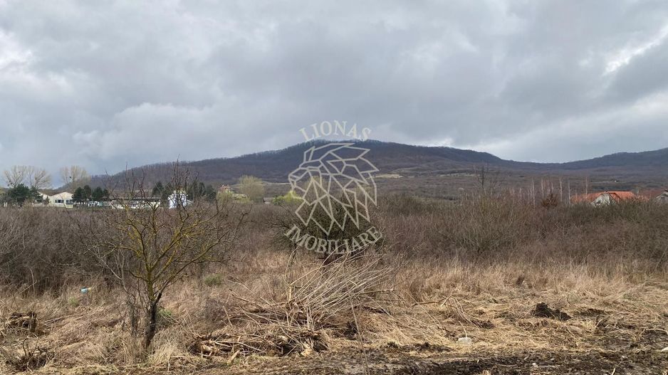 Teren 12,719 mp cu deschidere la DN17-ideal hala/parcare-Crainimat - Poză 1