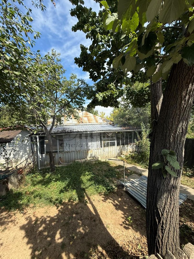 Casă + 2129 mp teren, zonă liniștită, Goruni, Iași – 76.000 euro - Poză 4