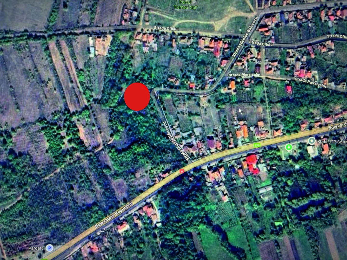 TEREN 1690 MP - ORAS STREHAIA - Poză 1