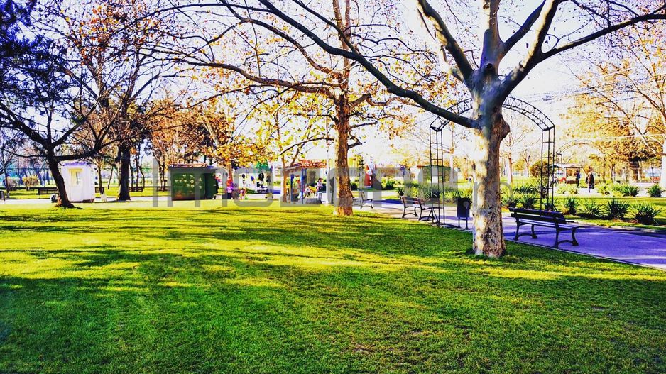 Scarlat Vârnav 26 - Poză 5