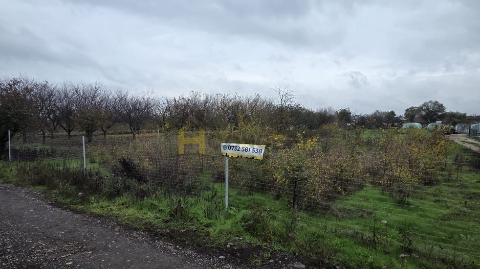 Teren Aleea Viilor Adunatii Copaceni - Poză 4