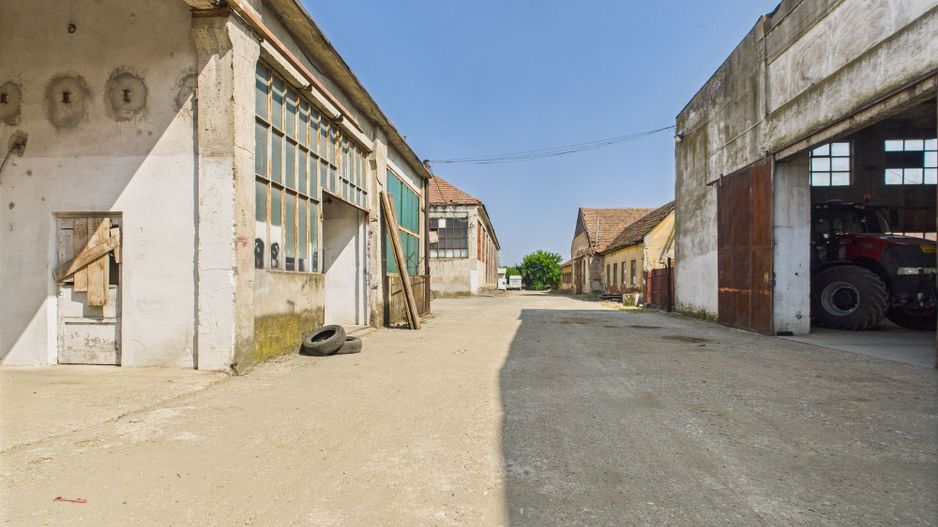 Complex industrial cu hale și teren  în Orțișoara - Poză 16