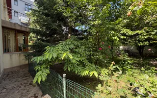 VANZARE VILA 280 MP UTILI | TEREN 900 MP | 5 CAMERE | VOLUNTARI - Poză 23