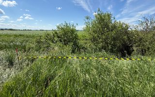 Teren extravilan de vânzare | Rădăuți | 4.000 mp - Poză 6