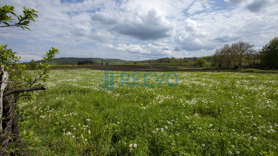 Teren intravilan Blăgești, Bacău - Poză 9