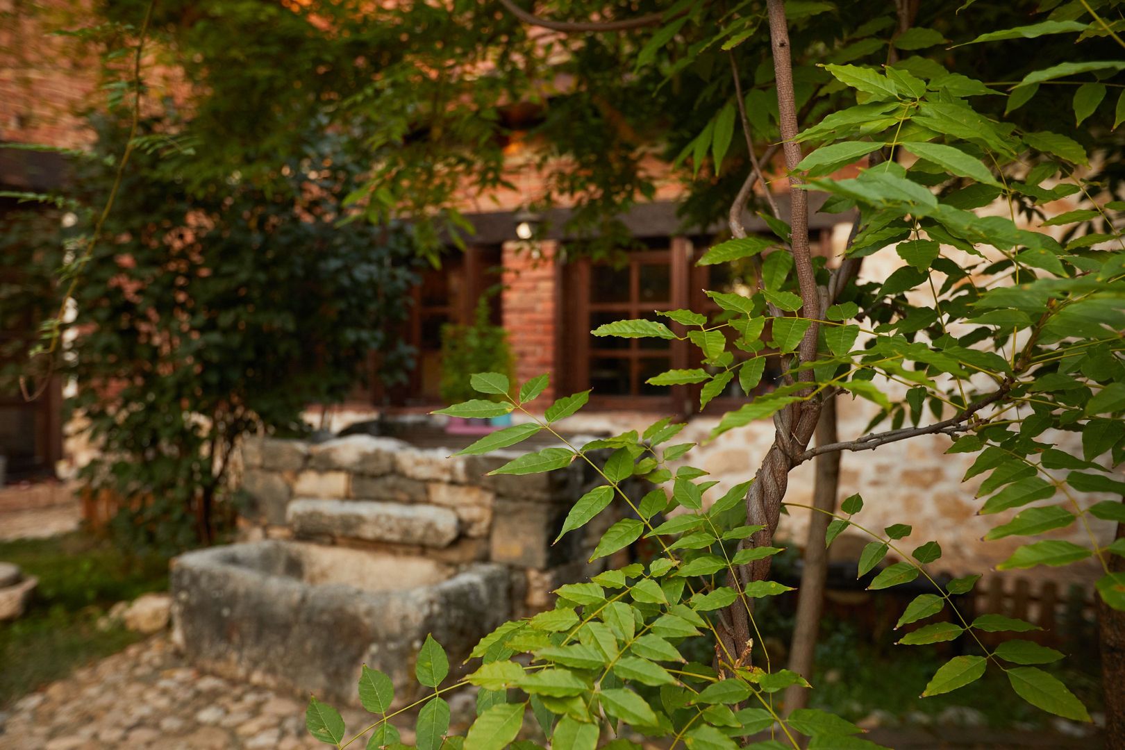CASA THEA | INVESTIȚIE ÎN TURISM, GASTRONOMIE ȘI EXPERIENȚE | SOCOLARI - Poză 19