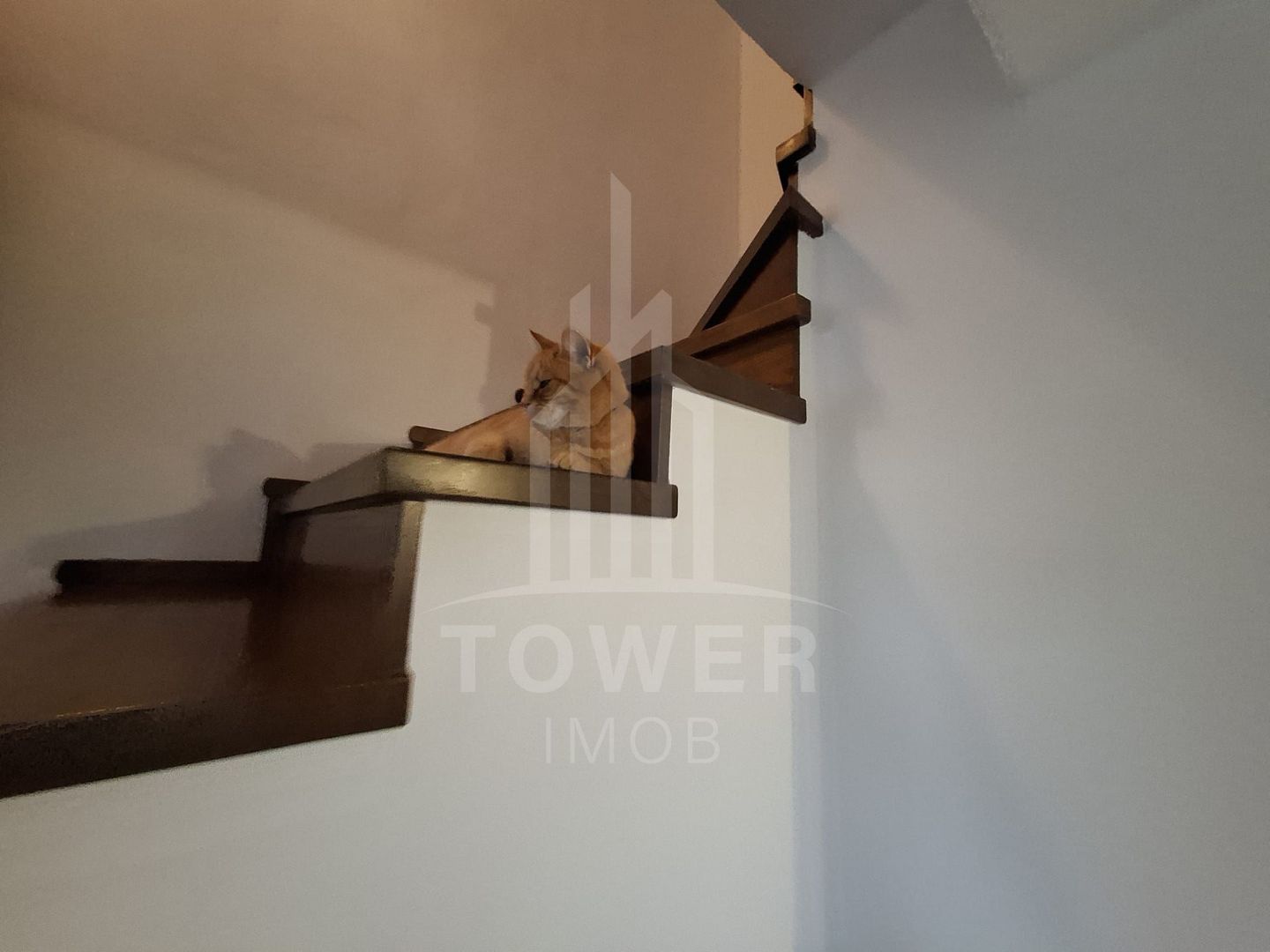 Casa  tip duplex, de inchiriat ,in cartier  Bavaria. - Poză 14